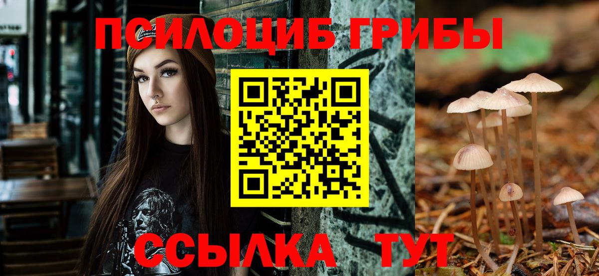 Галлюциногенные грибы Magic Shrooms Будённовск