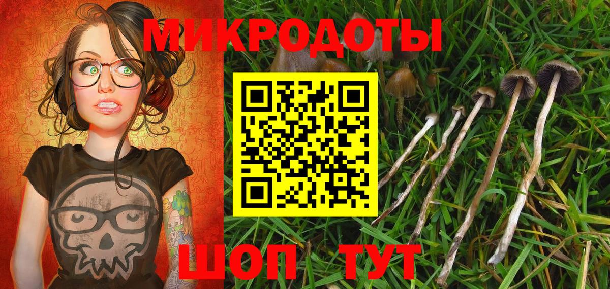 Будённовск  Галлюциногенные грибы Psilocybine cubensis  Вход с VPN  Псилоцибиновые грибы GOLDEN TEACHER 